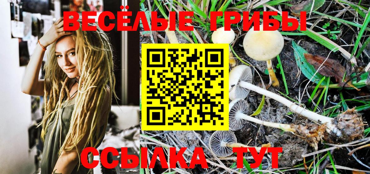 Азов  Галлюциногенные грибы Psilocybine cubensis  Псилоцибиновые грибы Magic Shrooms  Вход с VPN 